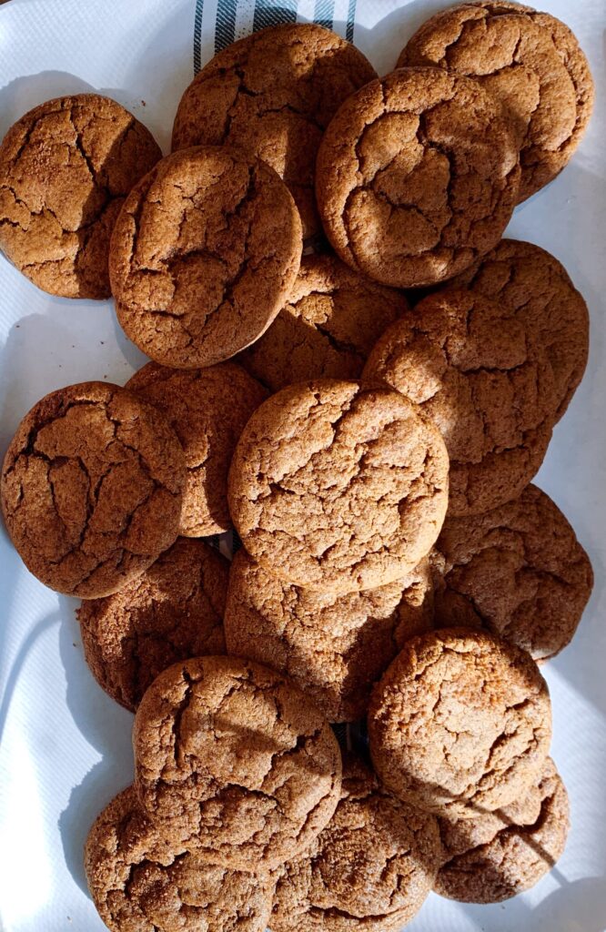gluten free molasses cookie recipe