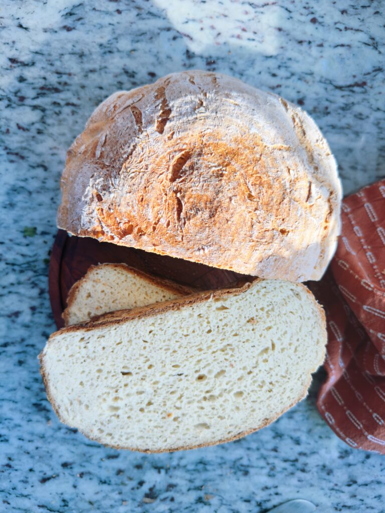 Gluten Free Artisan Bread Recipe (EASY & No Knead)