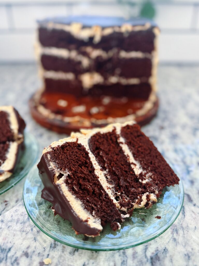 Gluten Free Chocolate and Peanut Butter Cake Recipe