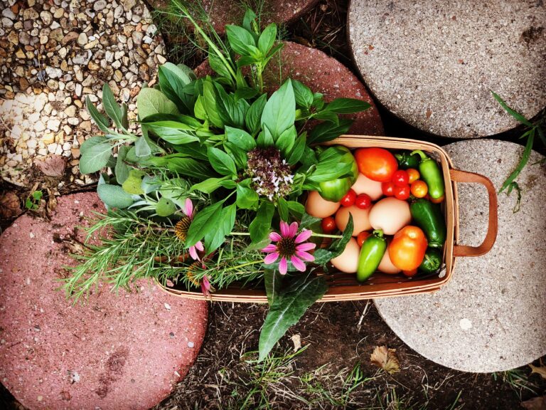 10 Tips and Tricks: A Guide to a Gluten Free Diet